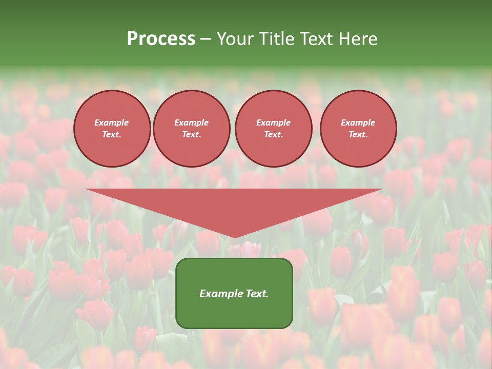 Floral Chiangrai Rural PowerPoint Template