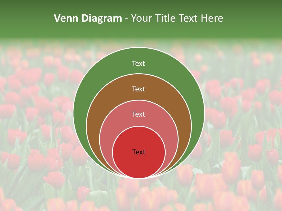 Floral Chiangrai Rural PowerPoint Template