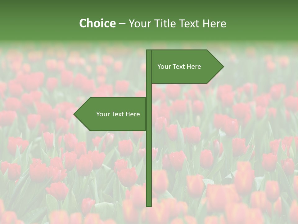 Floral Chiangrai Rural PowerPoint Template