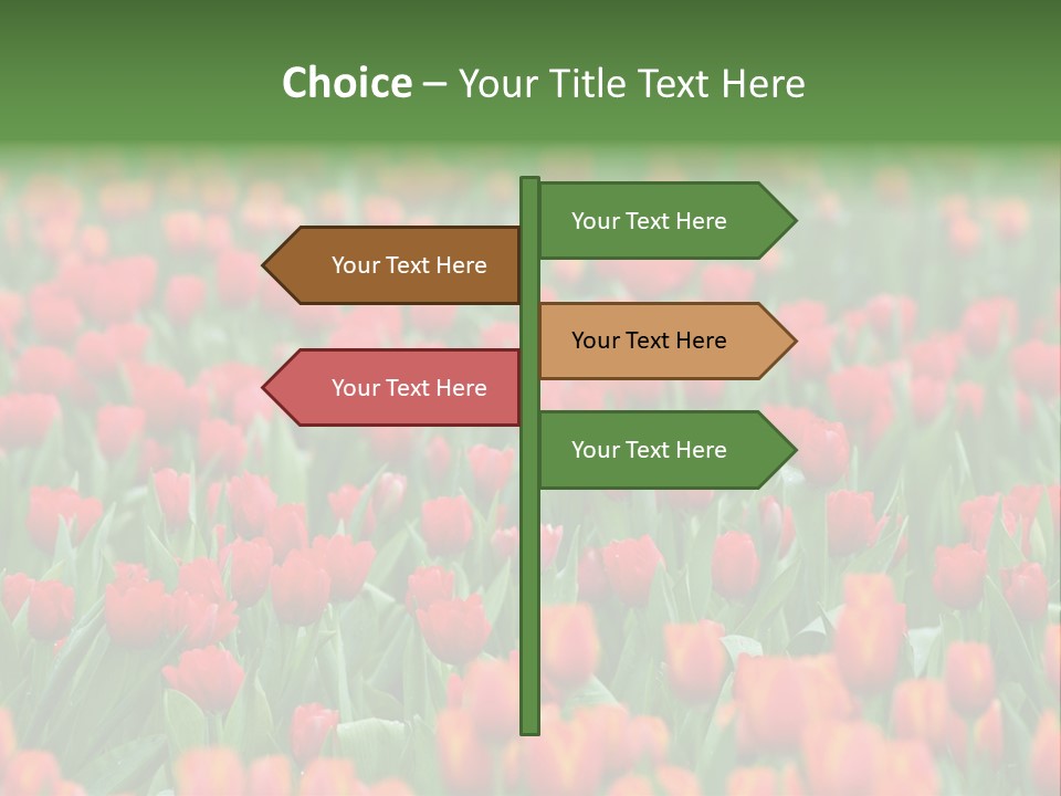 Floral Chiangrai Rural PowerPoint Template