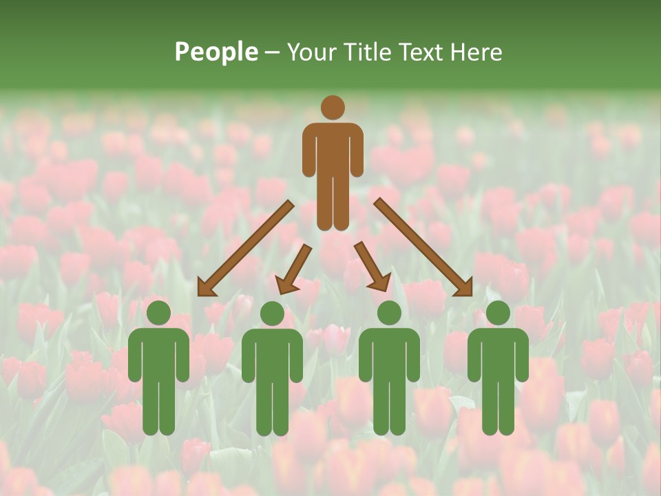 Floral Chiangrai Rural PowerPoint Template