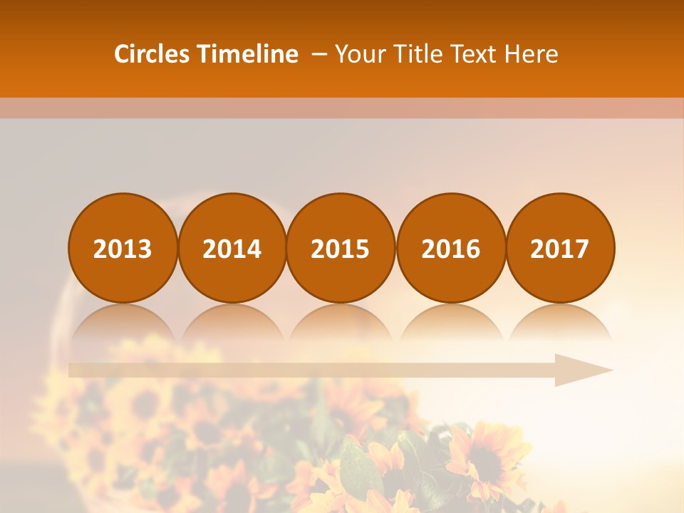 Conference Bu Ine Li Ten PowerPoint Template
