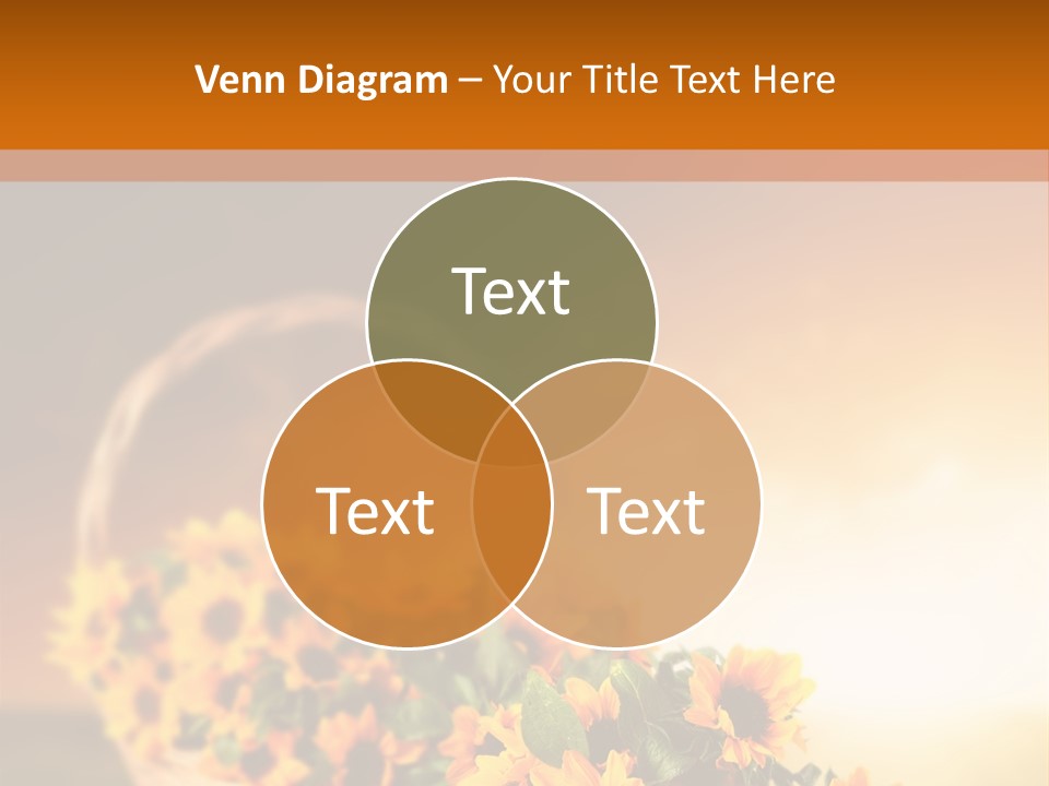 Conference Bu Ine Li Ten PowerPoint Template