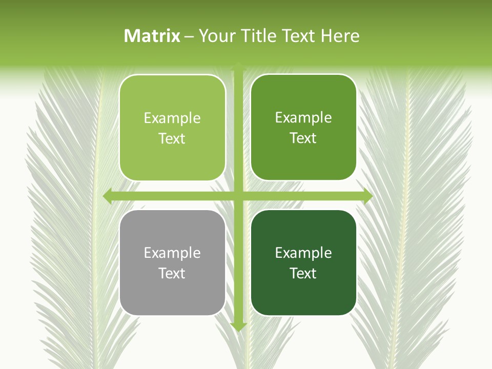 Botany Three Stem PowerPoint Template