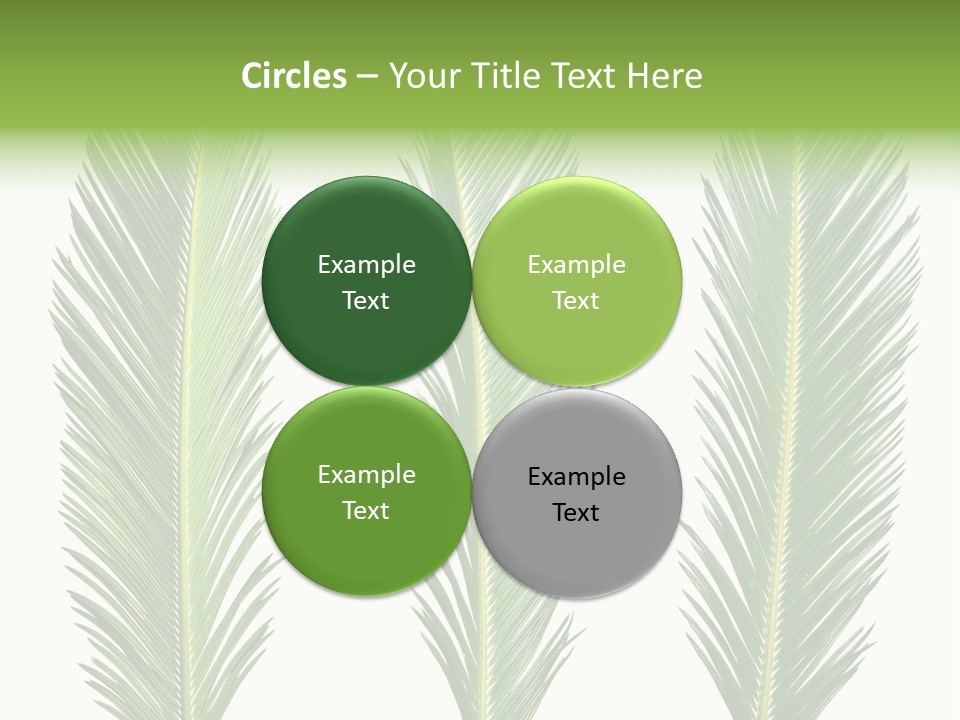 Botany Three Stem PowerPoint Template