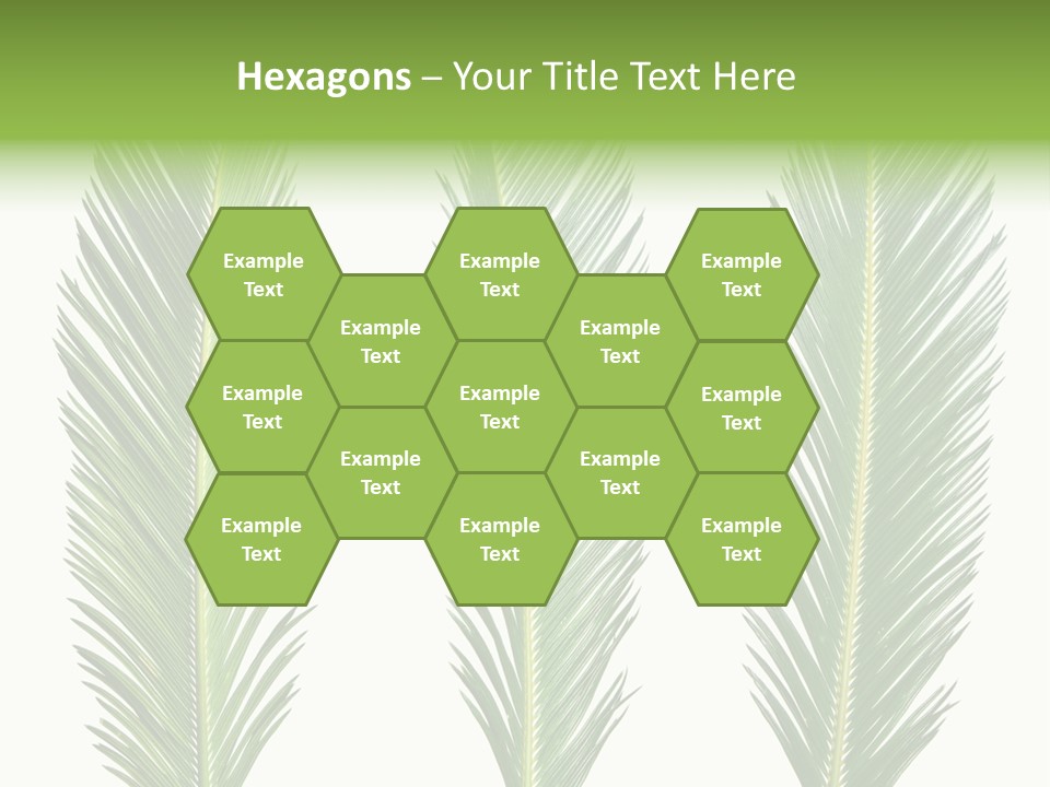 Botany Three Stem PowerPoint Template