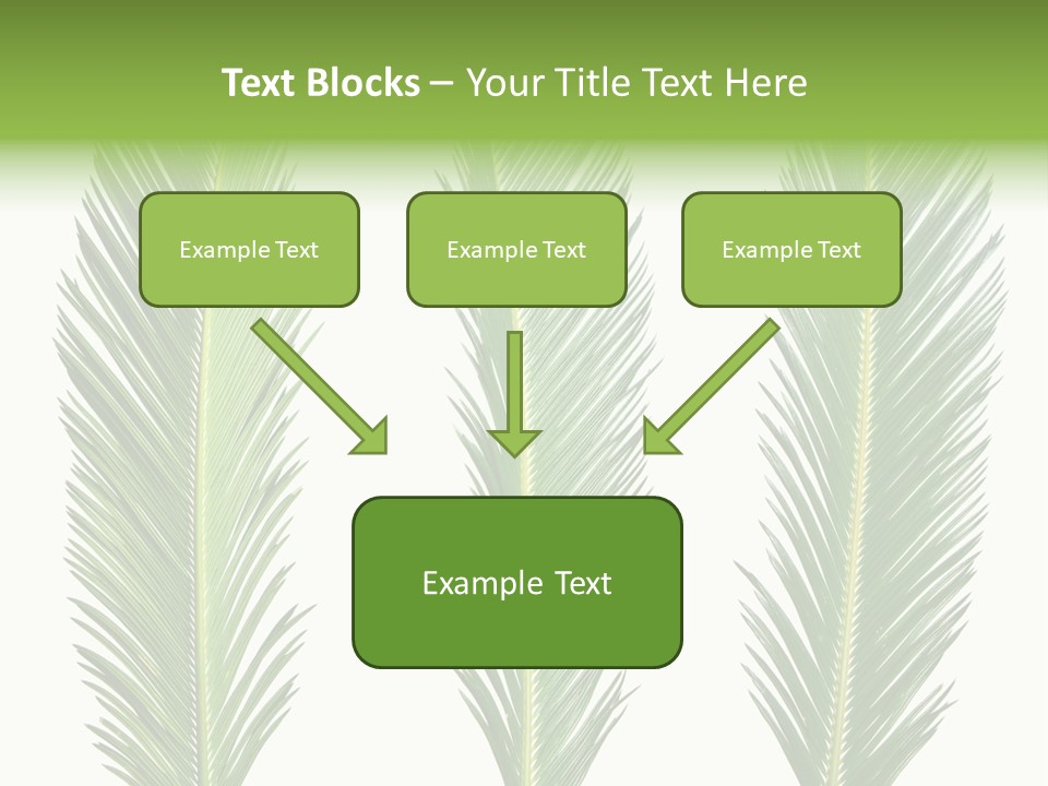 Botany Three Stem PowerPoint Template