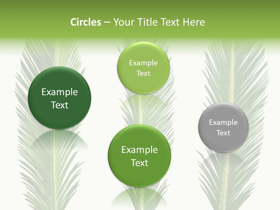 Botany Three Stem PowerPoint Template