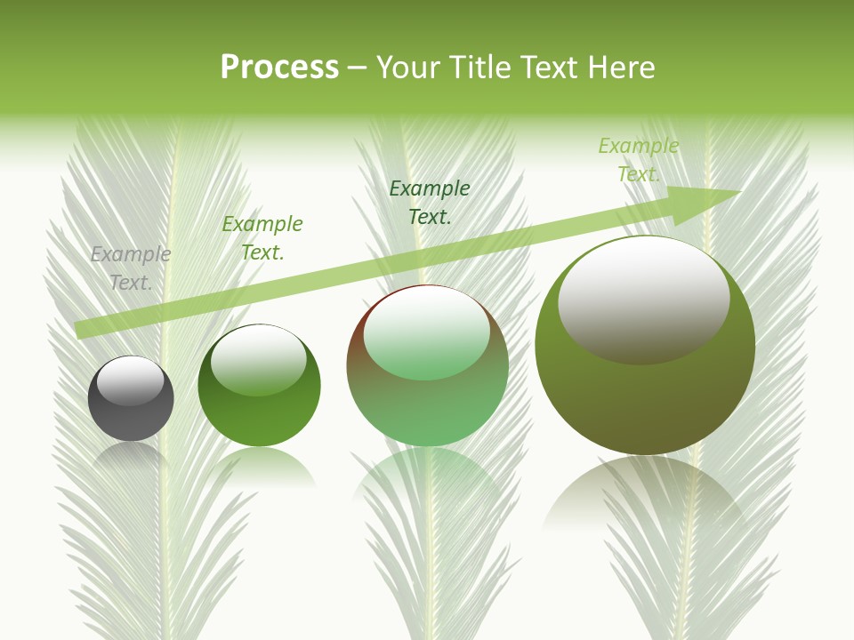 Botany Three Stem PowerPoint Template