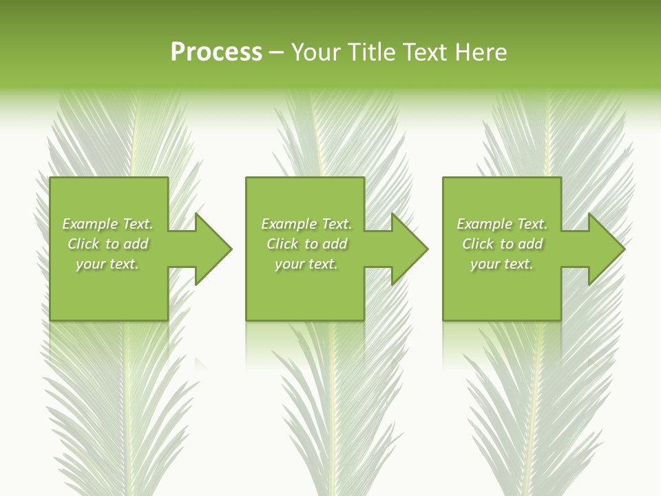 Botany Three Stem PowerPoint Template