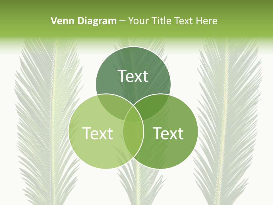 Botany Three Stem PowerPoint Template