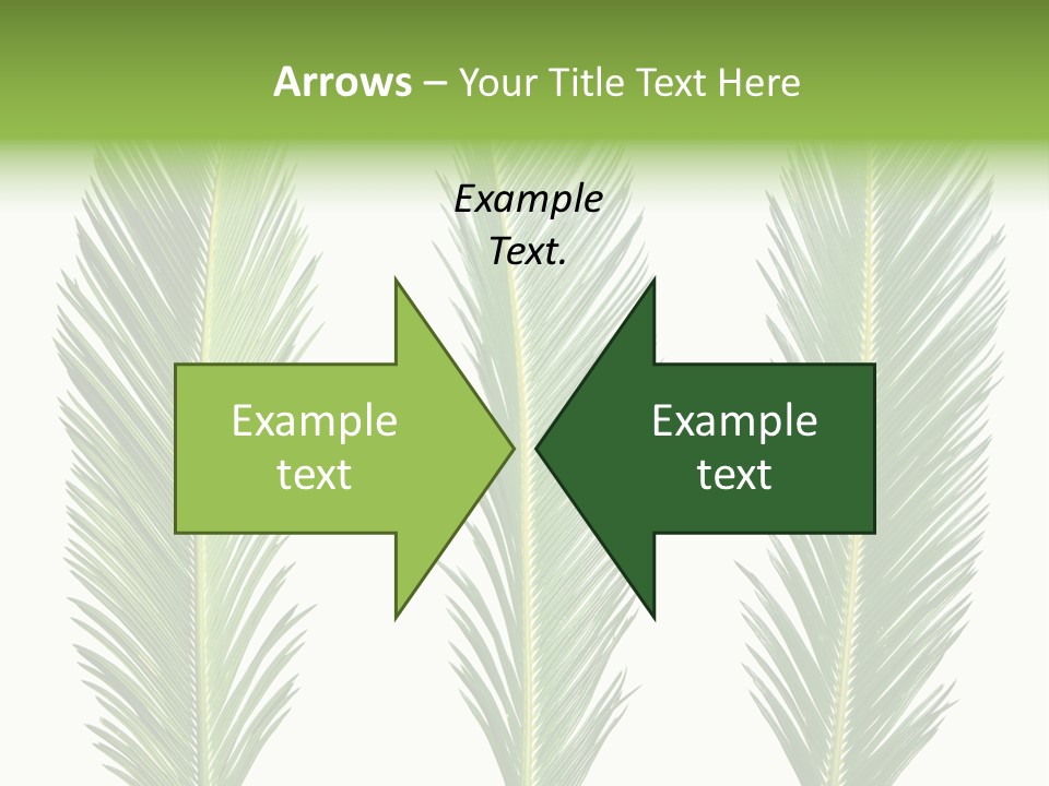 Botany Three Stem PowerPoint Template