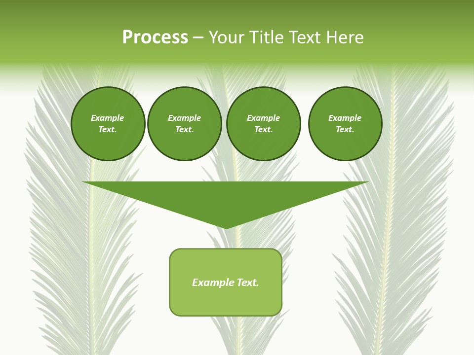 Botany Three Stem PowerPoint Template