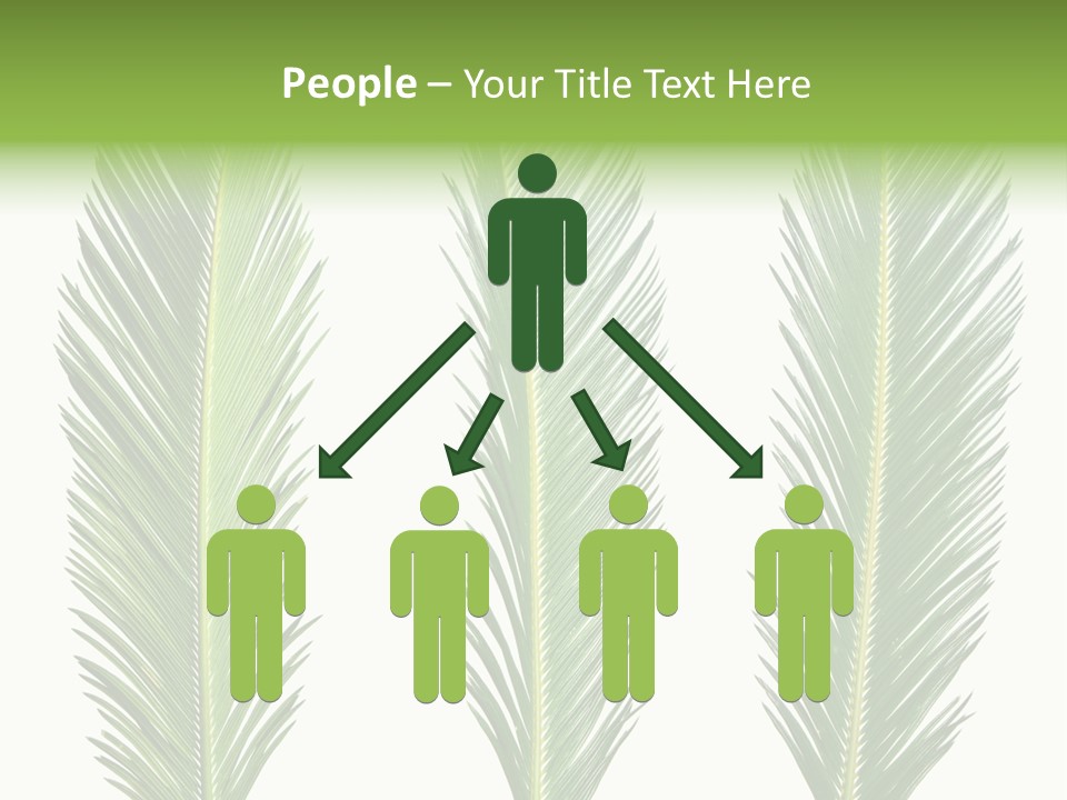 Botany Three Stem PowerPoint Template