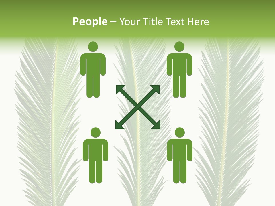 Botany Three Stem PowerPoint Template