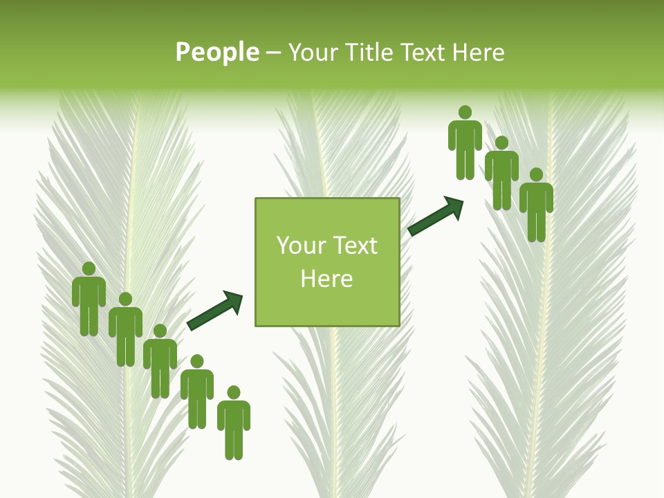 Botany Three Stem PowerPoint Template