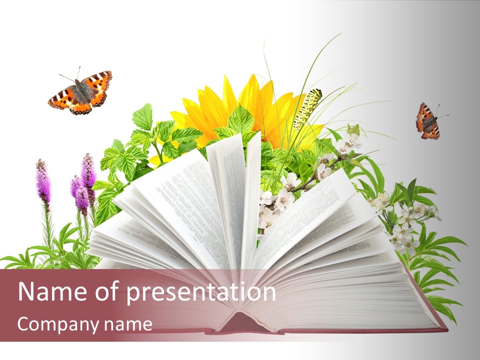 Decoration Flower Imagination PowerPoint Template
