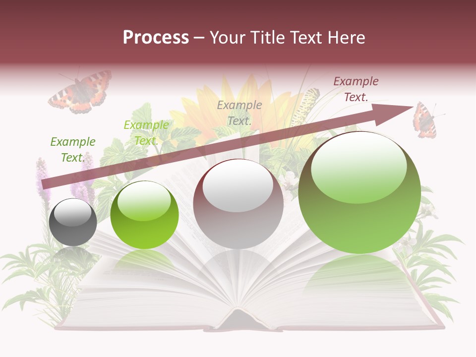 Decoration Flower Imagination PowerPoint Template