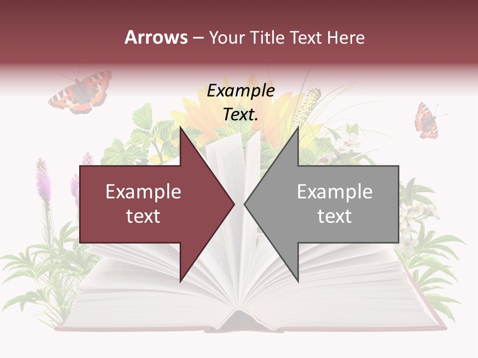 Decoration Flower Imagination PowerPoint Template