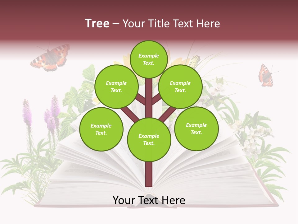 Decoration Flower Imagination PowerPoint Template