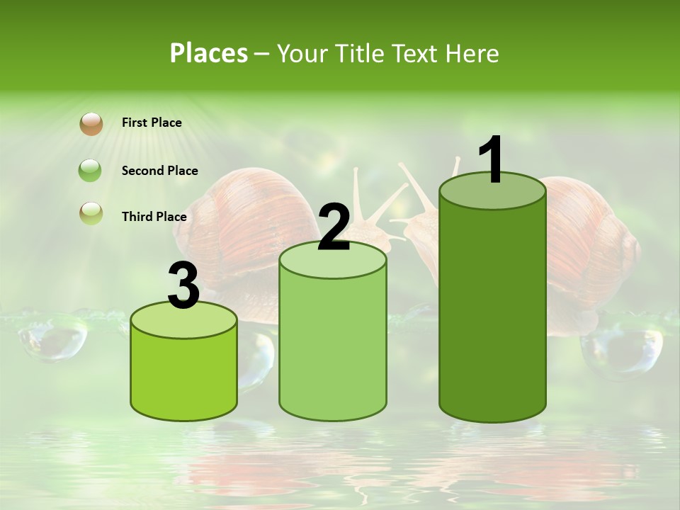 Wildlife Bug Lovemaking PowerPoint Template