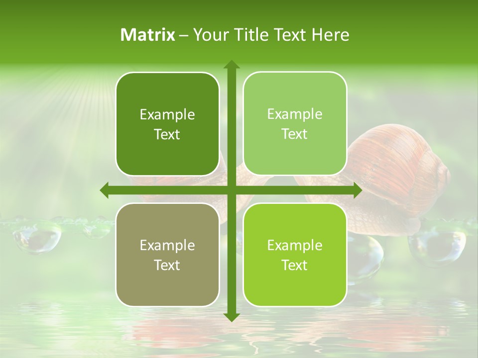 Wildlife Bug Lovemaking PowerPoint Template