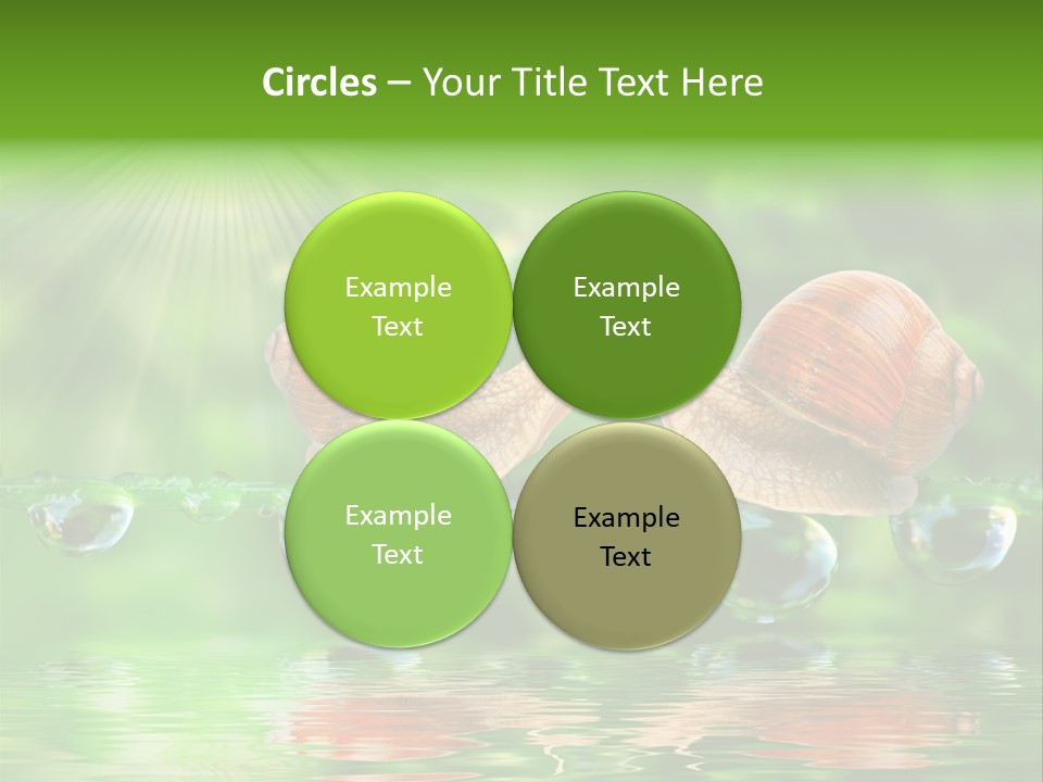 Wildlife Bug Lovemaking PowerPoint Template