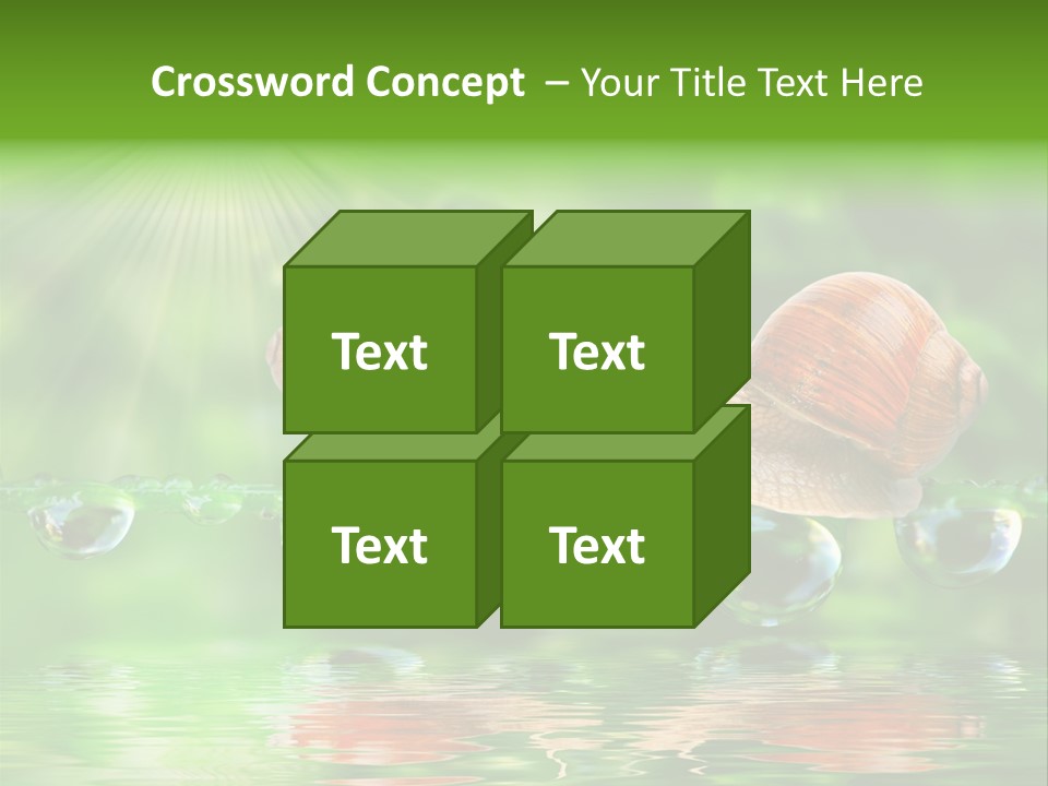 Wildlife Bug Lovemaking PowerPoint Template