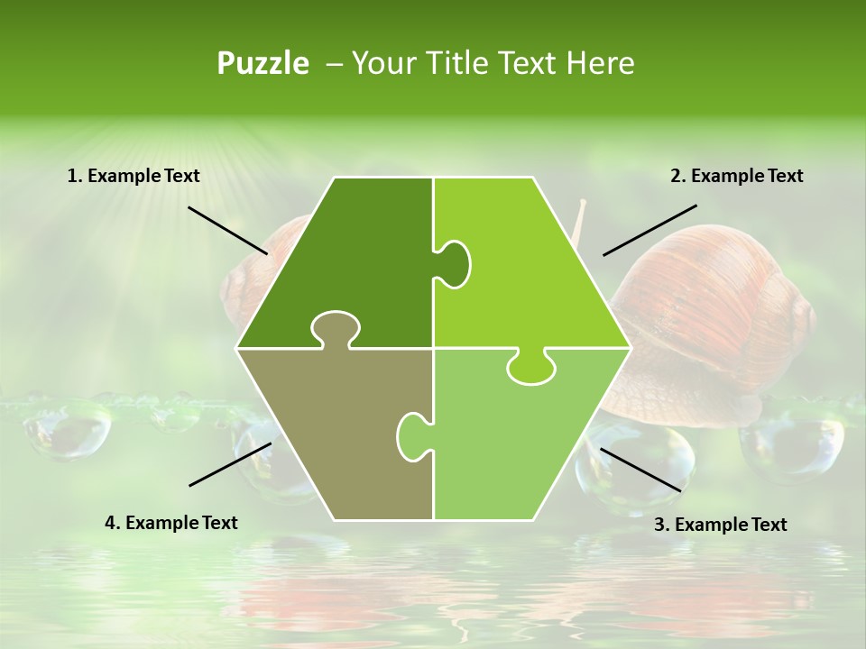 Wildlife Bug Lovemaking PowerPoint Template