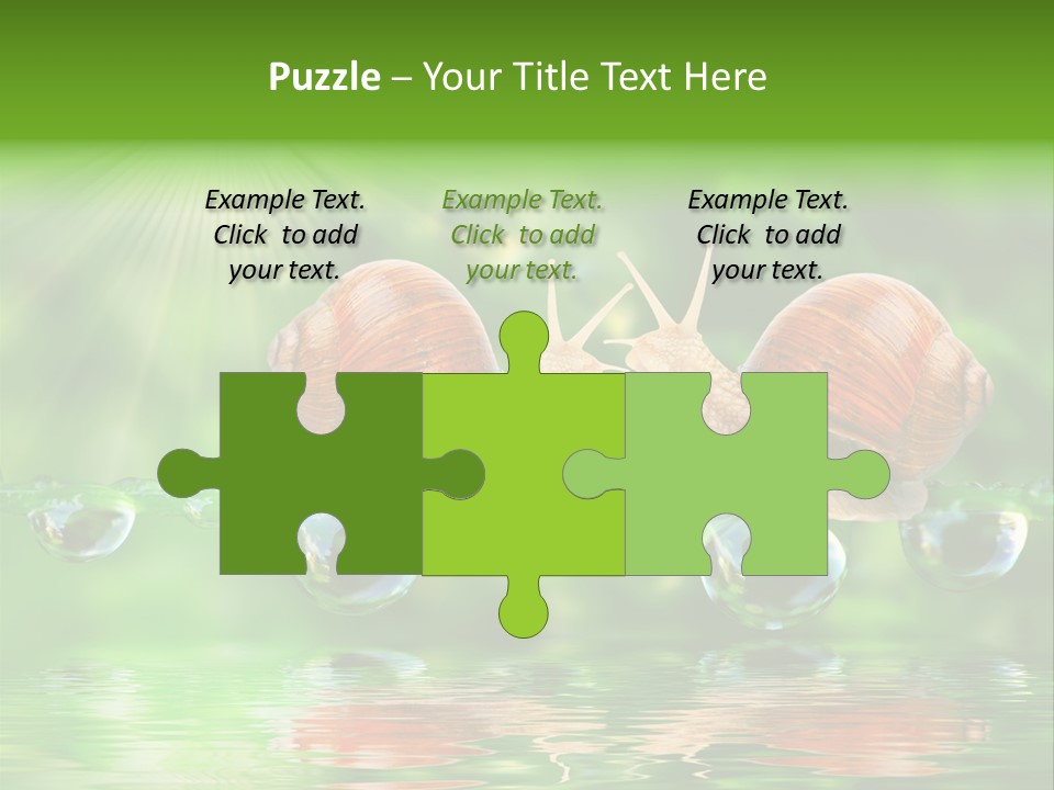 Wildlife Bug Lovemaking PowerPoint Template