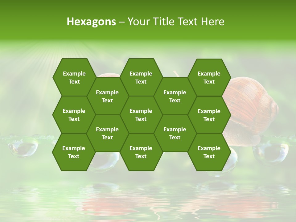 Wildlife Bug Lovemaking PowerPoint Template