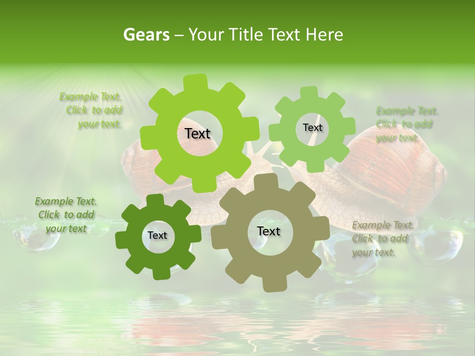 Wildlife Bug Lovemaking PowerPoint Template