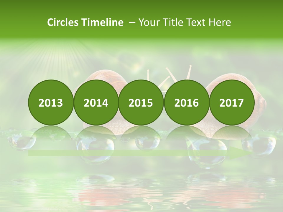 Wildlife Bug Lovemaking PowerPoint Template