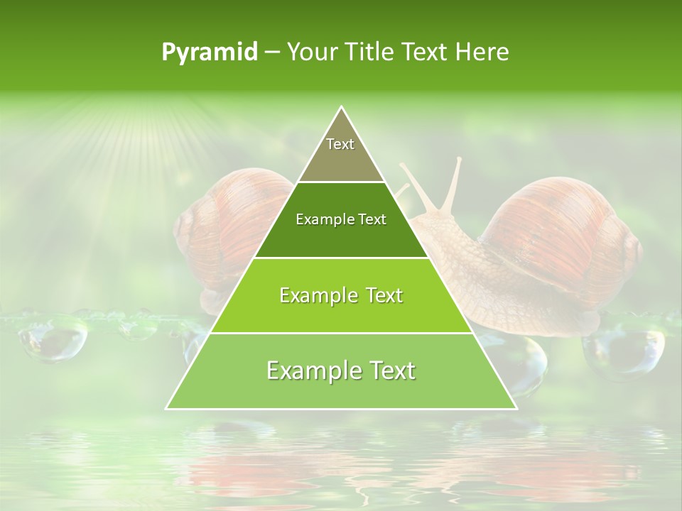 Wildlife Bug Lovemaking PowerPoint Template
