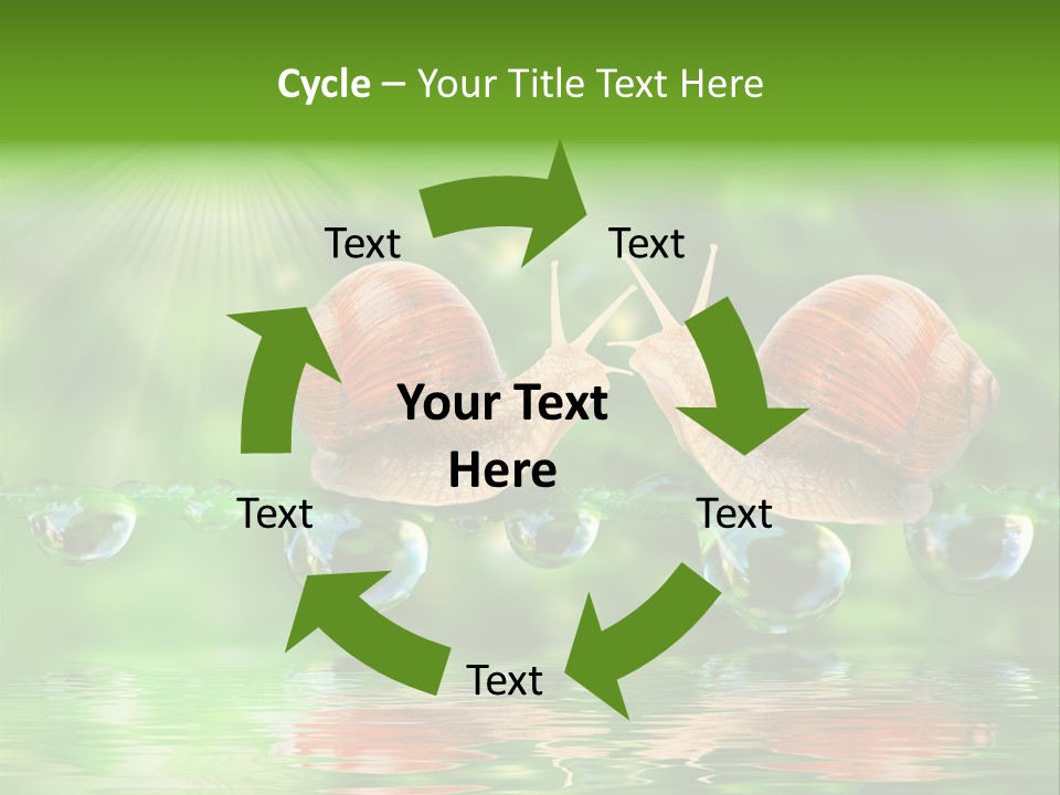 Wildlife Bug Lovemaking PowerPoint Template