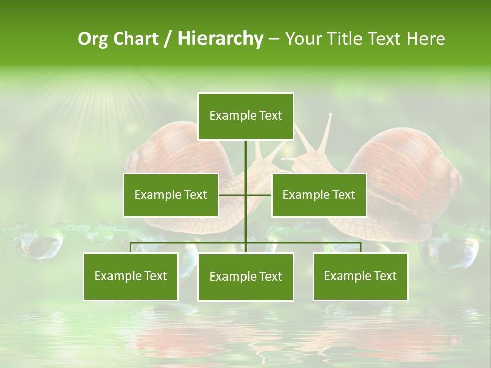 Wildlife Bug Lovemaking PowerPoint Template