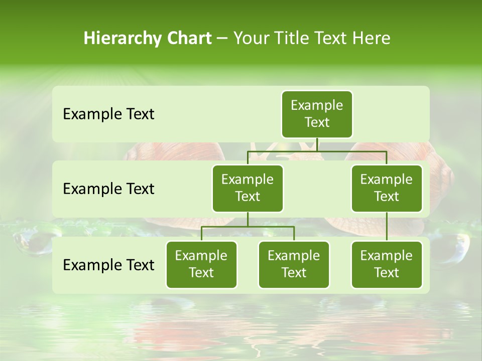 Wildlife Bug Lovemaking PowerPoint Template