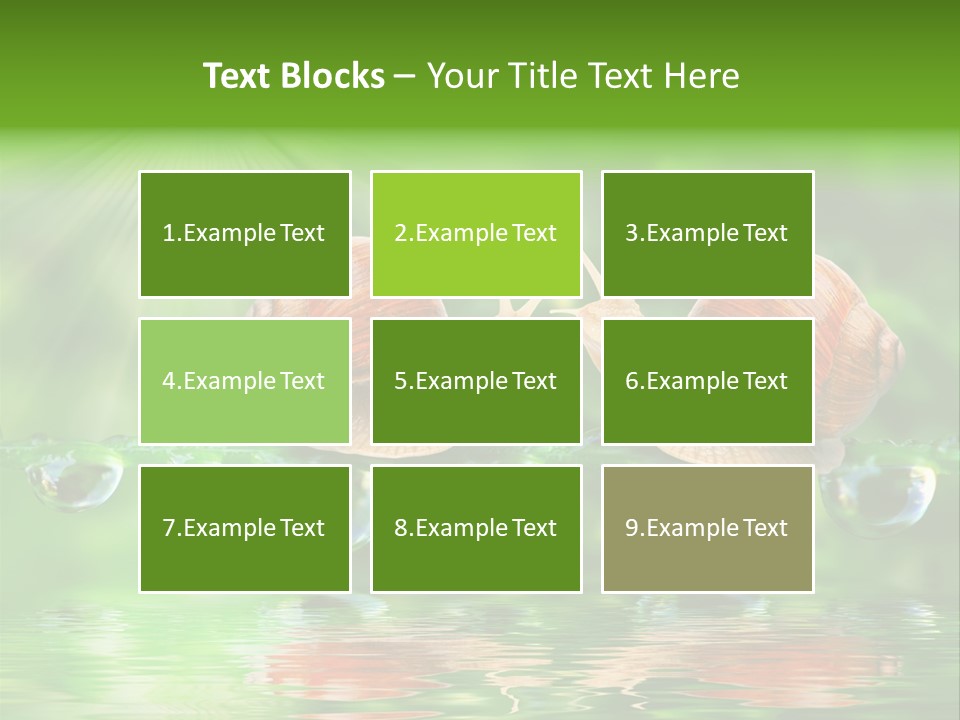 Wildlife Bug Lovemaking PowerPoint Template