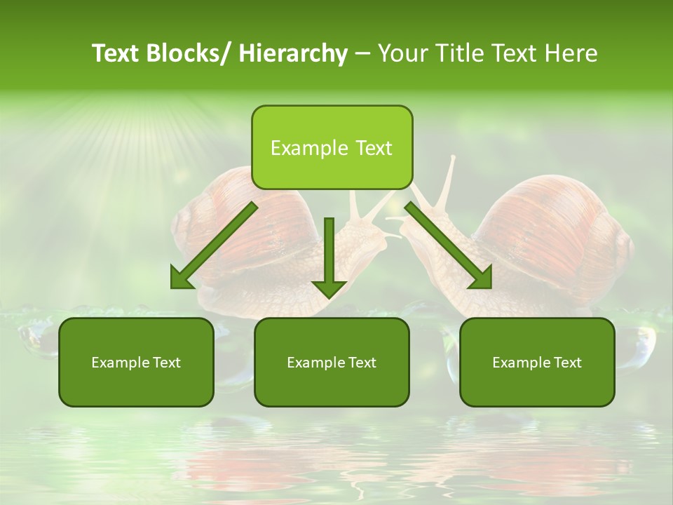 Wildlife Bug Lovemaking PowerPoint Template