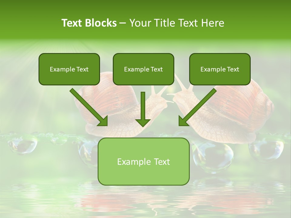 Wildlife Bug Lovemaking PowerPoint Template
