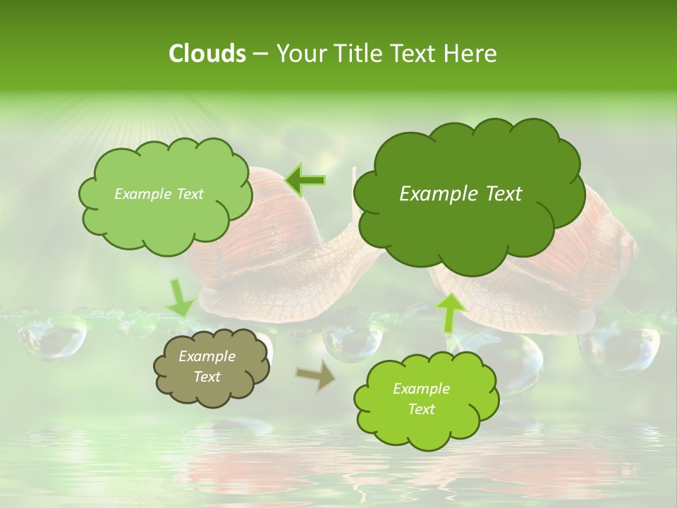 Wildlife Bug Lovemaking PowerPoint Template