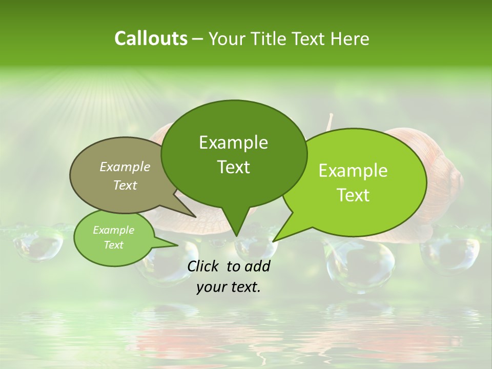 Wildlife Bug Lovemaking PowerPoint Template