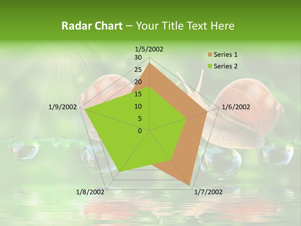 Wildlife Bug Lovemaking PowerPoint Template