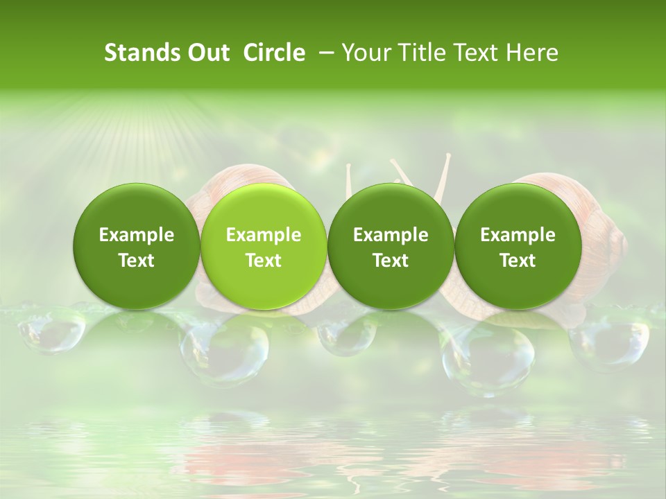 Wildlife Bug Lovemaking PowerPoint Template