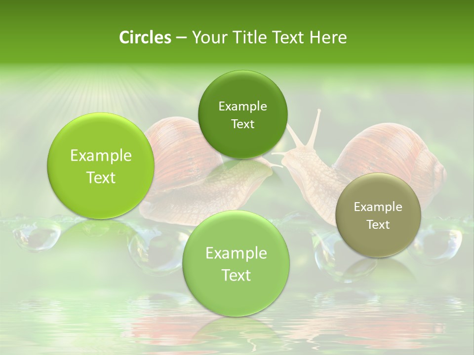 Wildlife Bug Lovemaking PowerPoint Template