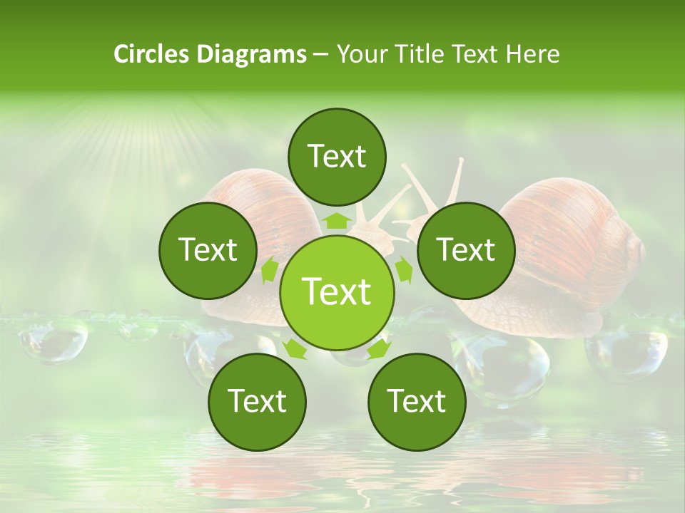 Wildlife Bug Lovemaking PowerPoint Template