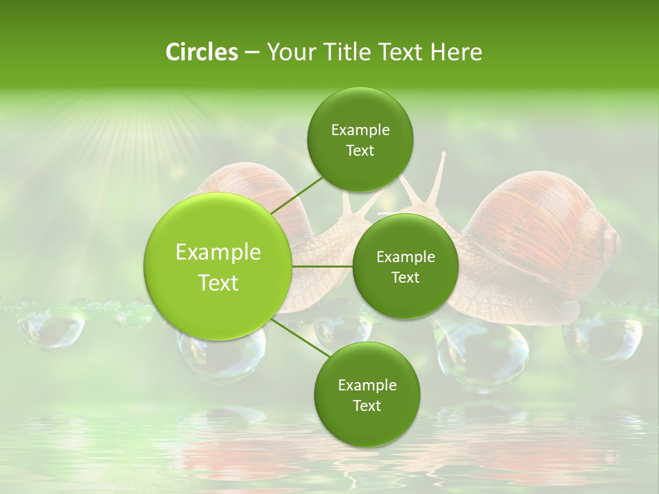 Wildlife Bug Lovemaking PowerPoint Template