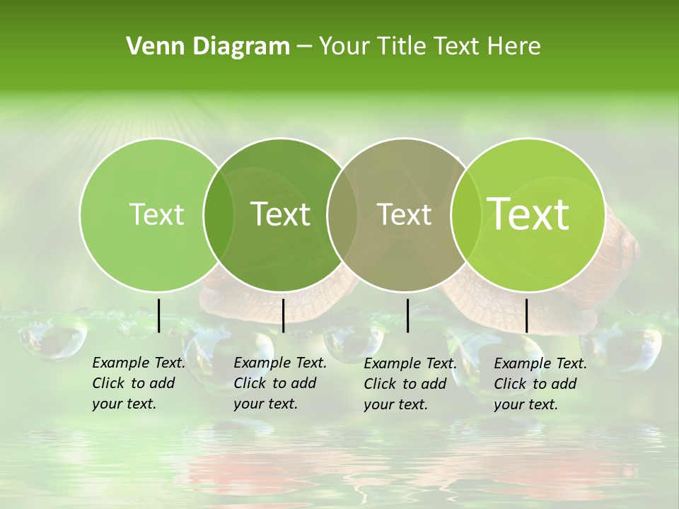 Wildlife Bug Lovemaking PowerPoint Template