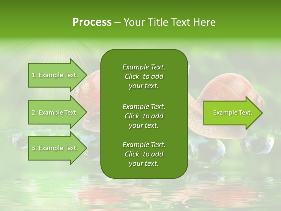 Wildlife Bug Lovemaking PowerPoint Template