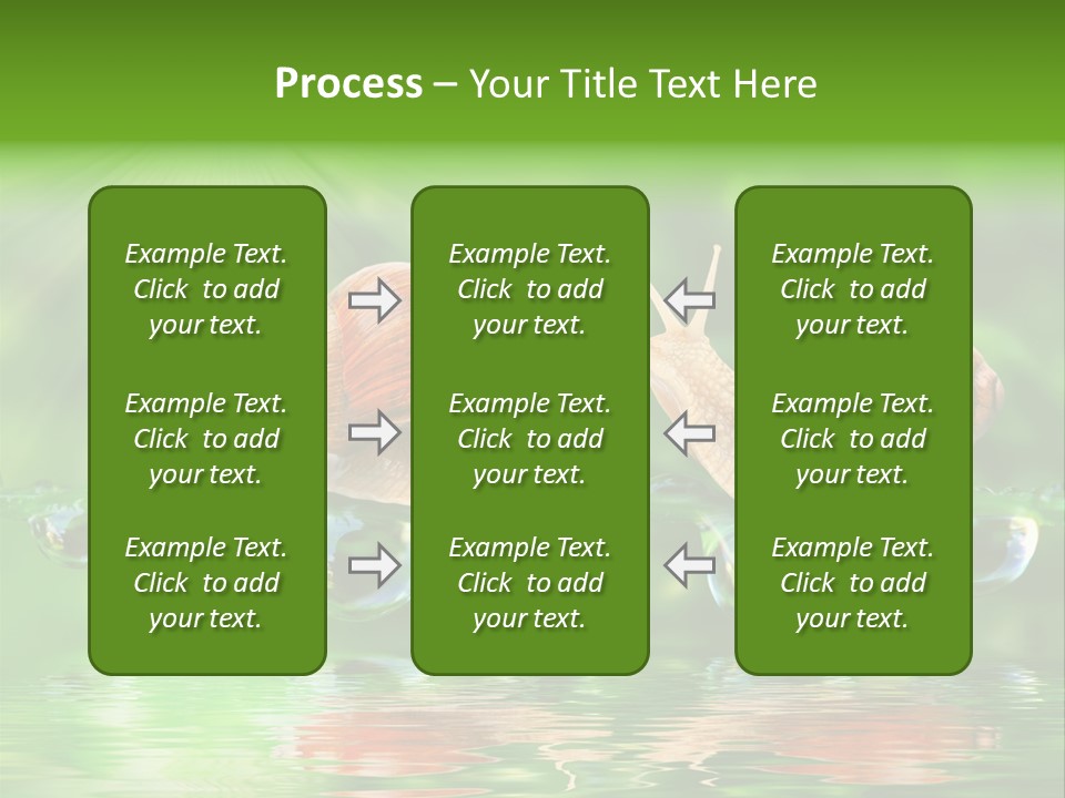 Wildlife Bug Lovemaking PowerPoint Template